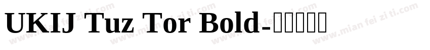 UKIJ Tuz Tor Bold字体转换